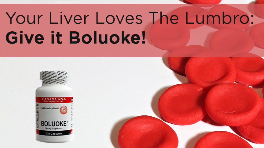 S Your Liver Loves The Lumbro: Give it Boluoke! 